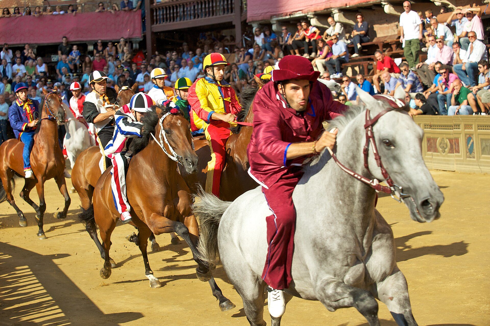 I cavalli del Palio in corsa sotto la Torre del Mangia